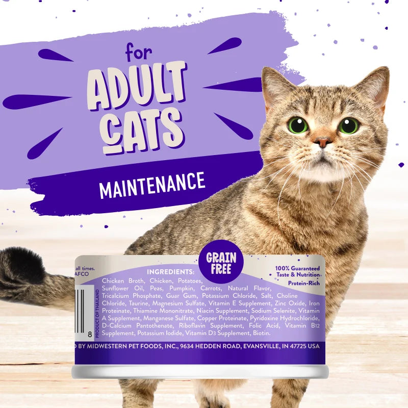 Earthborn Holistic Chicken Fricatssee Canned Cat Food 5.5 oz