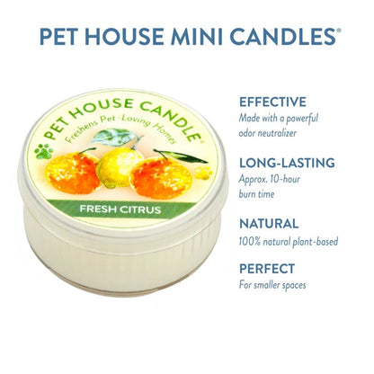 Pet House Fresh Citrus Plant-Based Soy Wax Mini Candle 1.5 oz