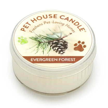 Pet House Evergreen Forest Plant-Based Soy Wax Mini Candle 1.5 oz