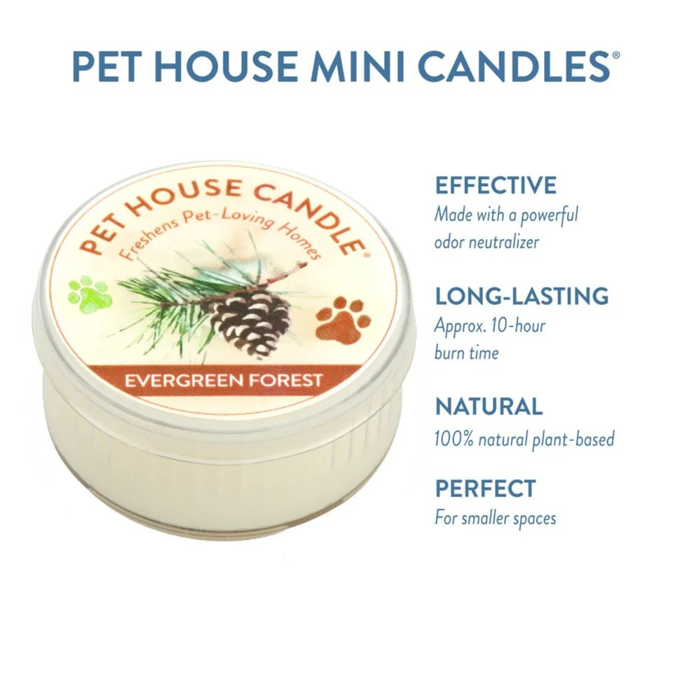 Pet House Evergreen Forest Plant-Based Soy Wax Mini Candle 1.5 oz