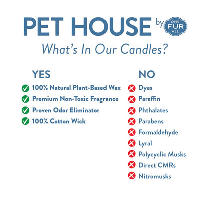 Pet House Evergreen Forest Plant-Based Soy Wax Mini Candle 1.5 oz