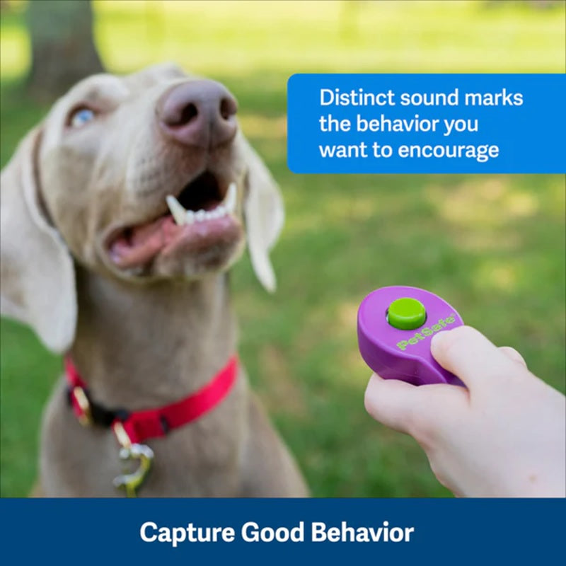67 Clik R PetSafe Clik-R Dog Training Clicker