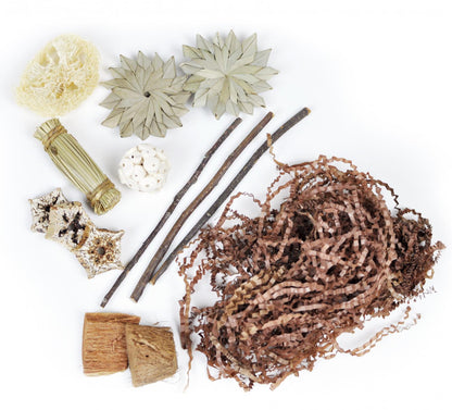 Prevue Naturals Forage 'n Play Box for Small Pets