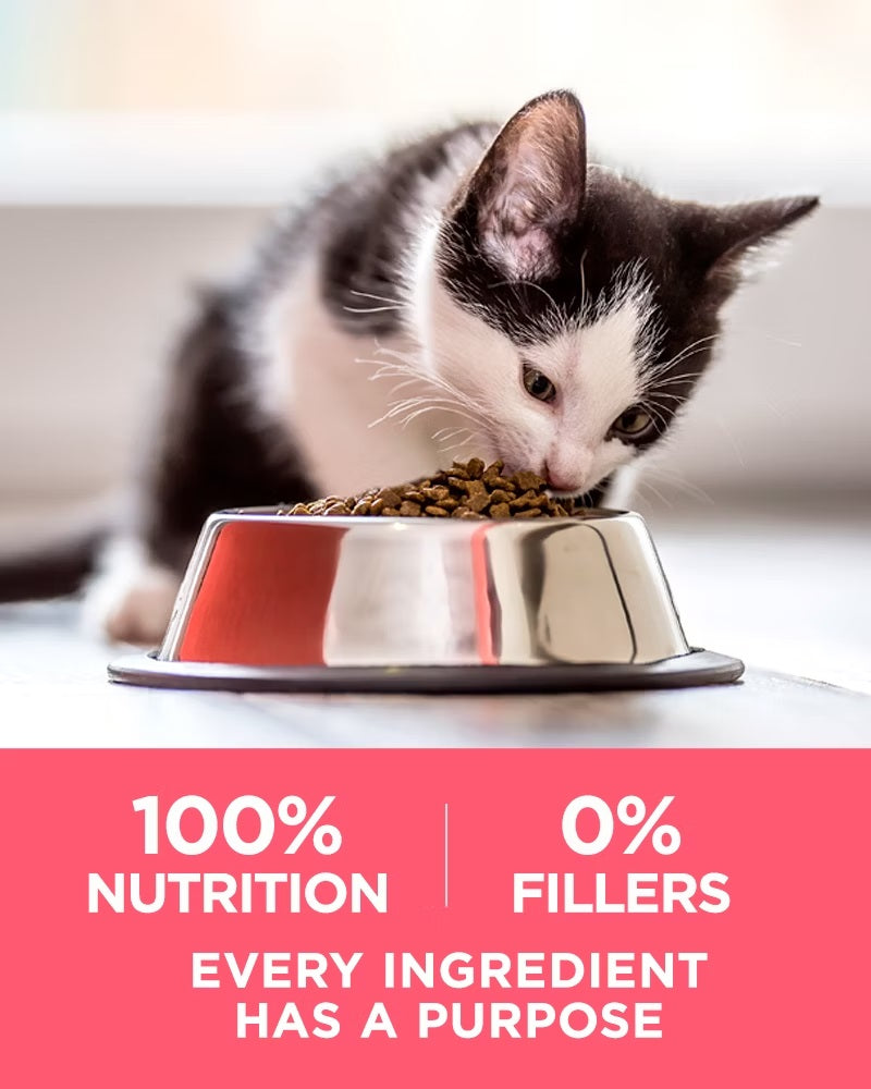 Purina ONE +Plus Healthy Kitten Natural Dry Cat Food 3.5 LB