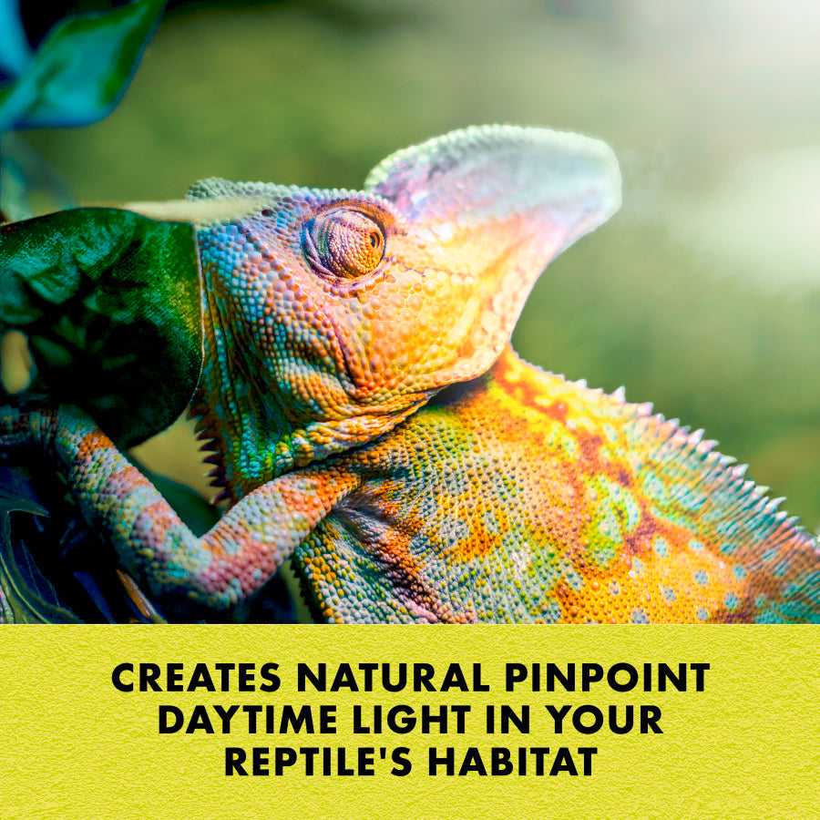 Zilla Day White Light Incandescent Spot Bulb