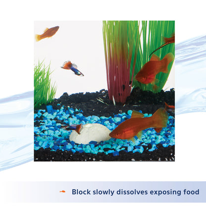 Aqueon 7 Day Fish Food Feeder