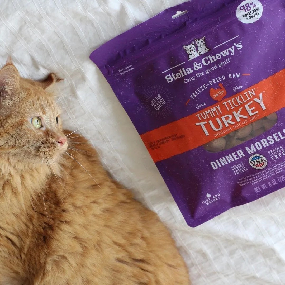 Stella & Chewy's Tummy Ticklin' Turkey Freeze-Dried Raw Dinner Morsels