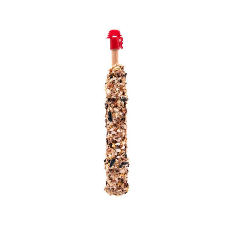Higgins Sunburst Gourmet Treat Sticks Nuts & Raisins for Conure & Cockatiel 4.9 oz