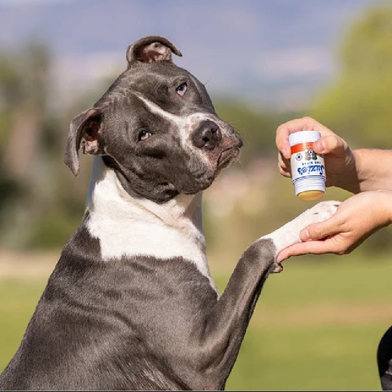 Suzie's 300 mg CBD Anti-Itch Stick