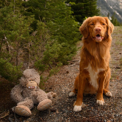 Tall Tails Stuffless Bigfoot with Squeaker Toy