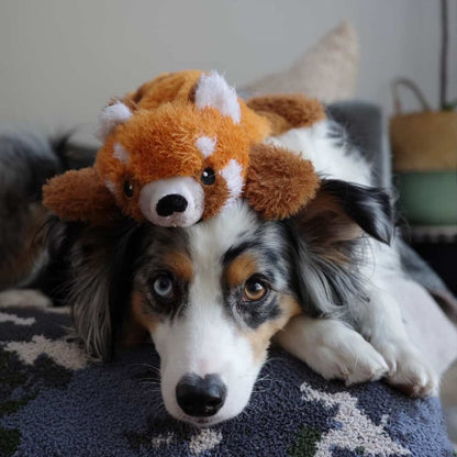 Tall Tails Stuffless Red Panda Squeaker Dog Toy