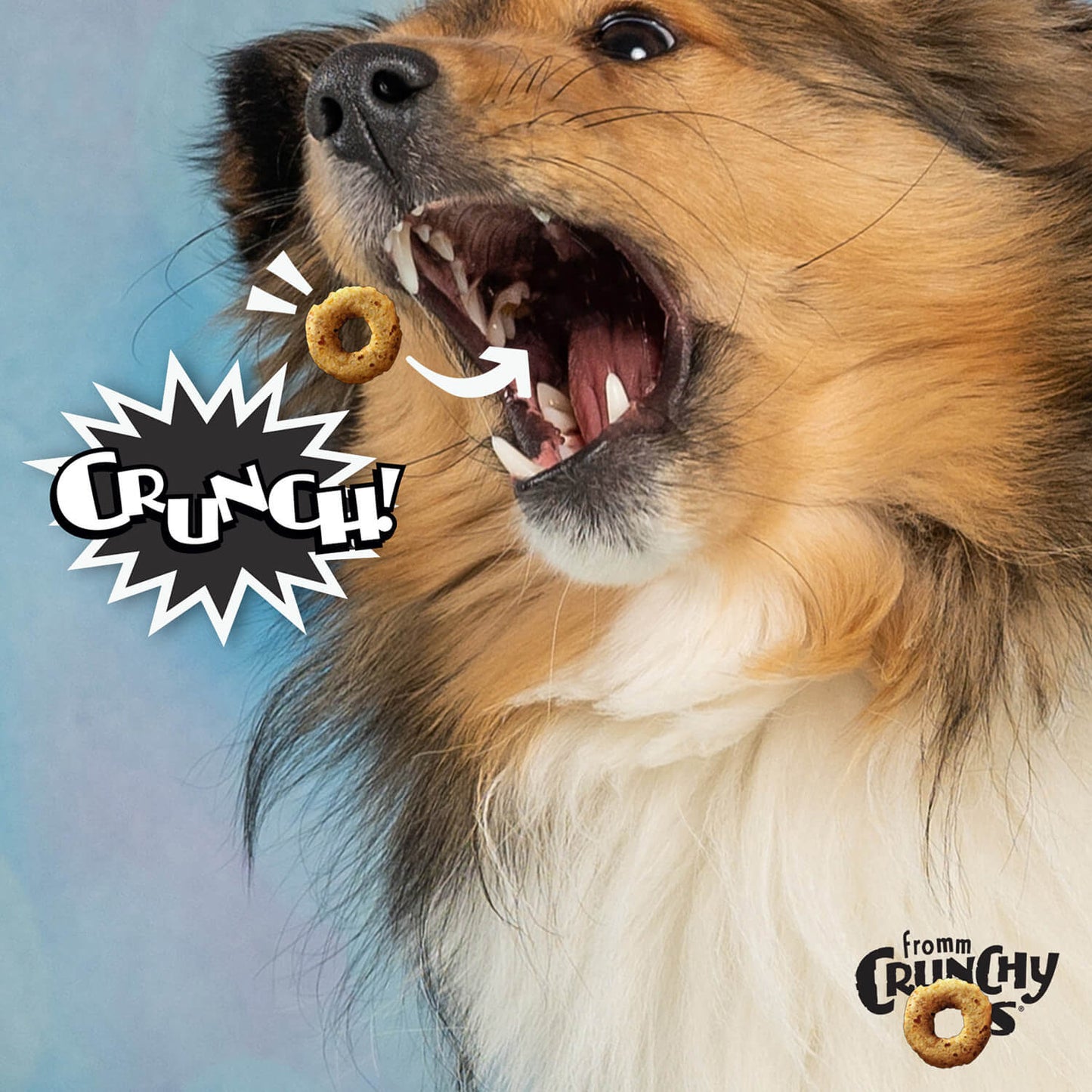 Fromm Crunchy O's Bacon Blasters Flavor Dog Treats