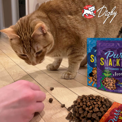 Fromm PurrSnackitty Chicken Flavor Cat Treats