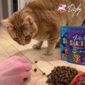 Fromm PurrSnackitty Salmon Flavor Cat Treats