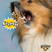 Load image into Gallery viewer, Fromm Crunchy O&#39;s Blueberry Blasts Flavor Dog Treats
