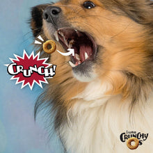Load image into Gallery viewer, Fromm Crunchy O&#39;s Pot Roast Punchers Flavor Dog Treats
