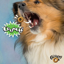 Load image into Gallery viewer, Fromm Crunchy O&#39;s Pumpkin Kran Pow Flavor Dog Treats
