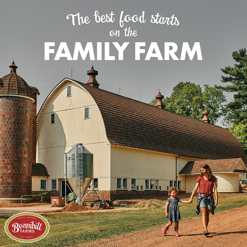 Bonnihill Farms™ by Fromm® BeefiBowls Beef Recipe Dog Food