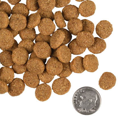 Fromm Large Breed Adult Gold Dog Food