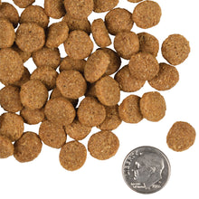 Load image into Gallery viewer, Fromm Large Breed Adult Gold Dog Food
