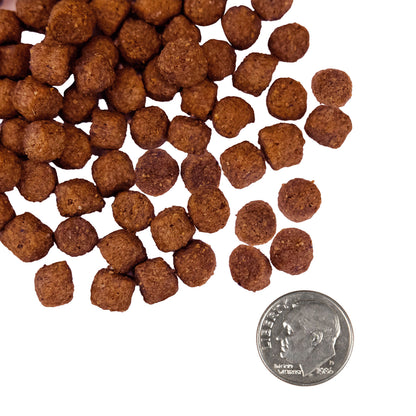 Fromm Family Nutritional's Sensitive Skin & Stomach Salmon & Whole Oats Recipe Dog Food