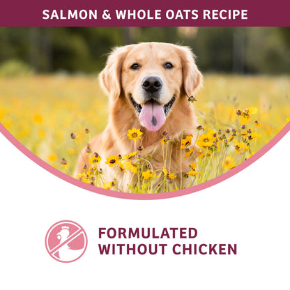 Fromm Family Nutritional's Sensitive Skin & Stomach Salmon & Whole Oats Recipe Dog Food