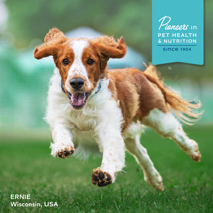 Fromm Family Nutritional's Digestive Support Low Fat Chicken & Oatmeal Recipe Dog Food