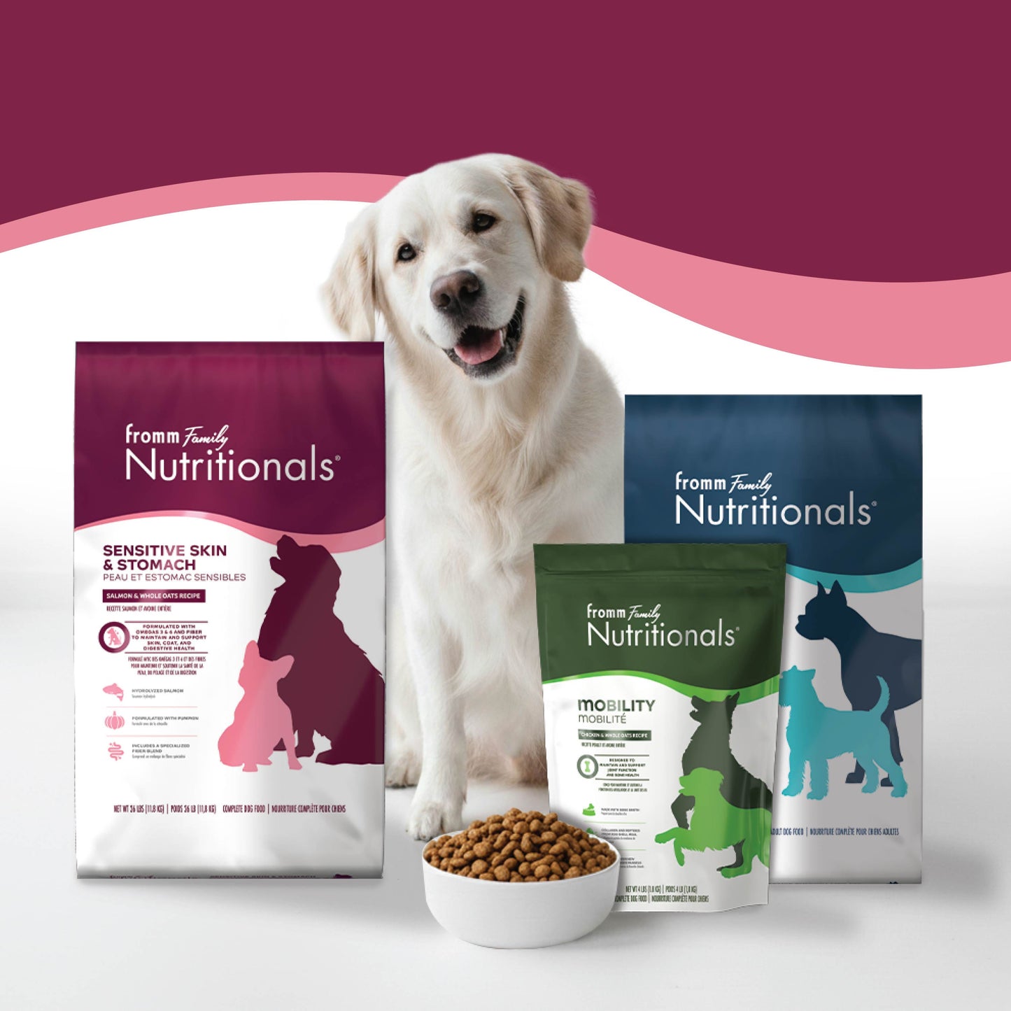 Fromm Family Nutritional's Sensitive Skin & Stomach Salmon & Whole Oats Recipe Dog Food