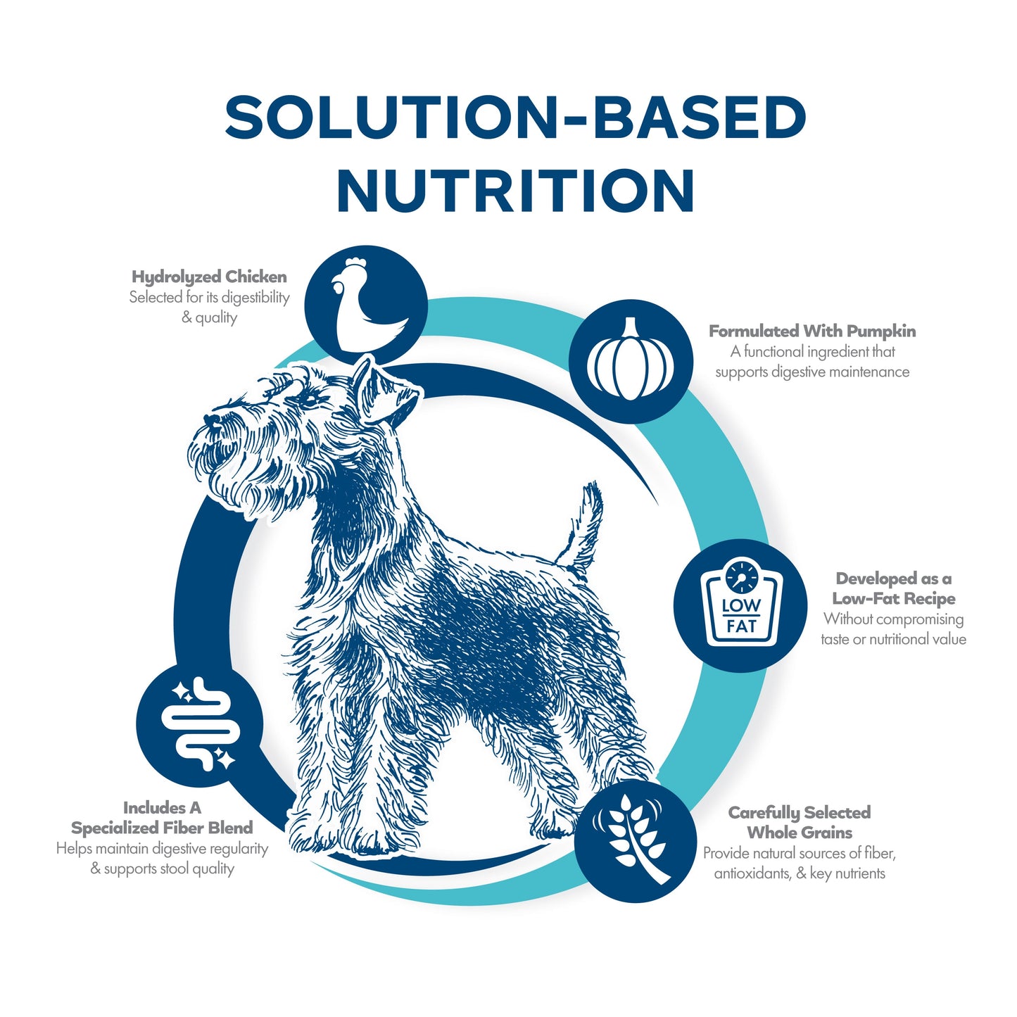 Fromm Family Nutritional's Digestive Support Low Fat Chicken & Oatmeal Recipe Dog Food