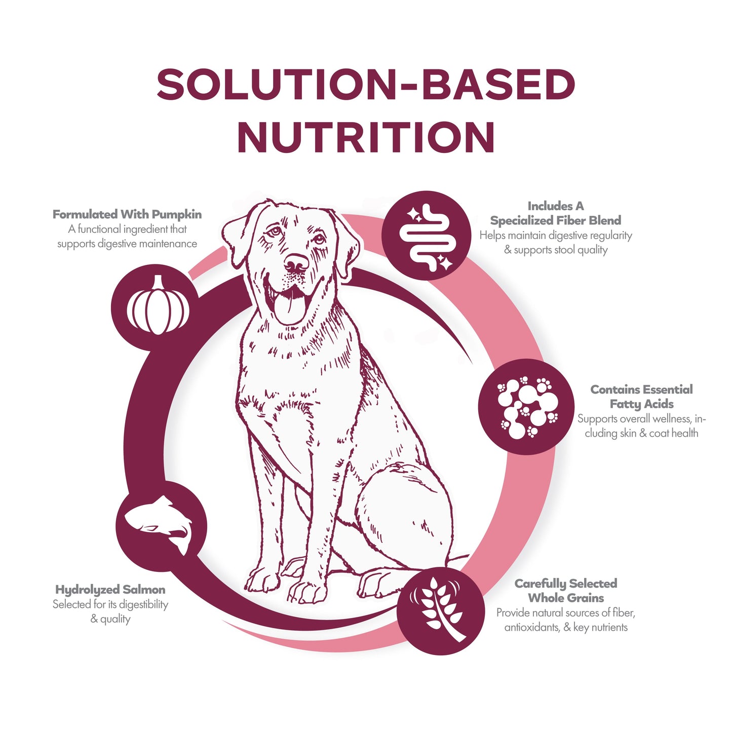 Fromm Family Nutritional's Sensitive Skin & Stomach Salmon & Whole Oats Recipe Dog Food