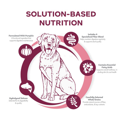 Fromm Family Nutritional's Sensitive Skin & Stomach Salmon & Whole Oats Recipe Dog Food
