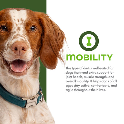 Fromm Nutritional's Mobility Chicken & Whole Oats Recipe Dog Food