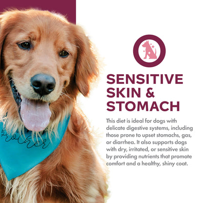 Fromm Family Nutritional's Sensitive Skin & Stomach Salmon & Whole Oats Recipe Dog Food