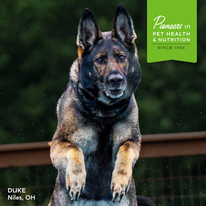 Fromm Nutritionals Mobility Supplement Pâté Canned Dog Food