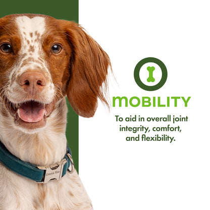 Fromm Nutritionals Mobility Supplement Pâté Canned Dog Food