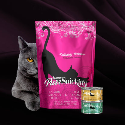 Fromm PurrSnickitty Salmon Splendor Recipe Cat Food