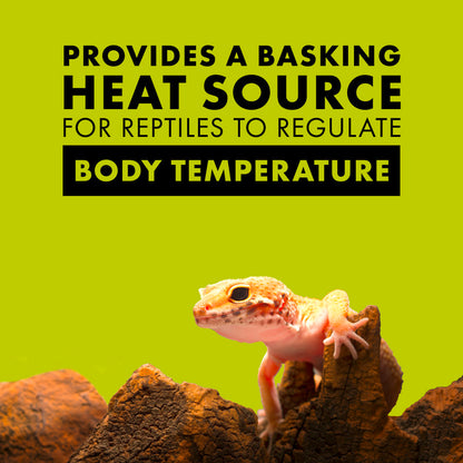 Zilla Day White Light Incandescent Spot Bulb