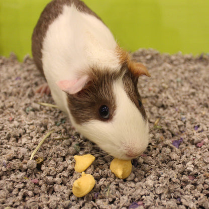 Vitakraft Drops Yogurt with Orange Guinea Pig Treats