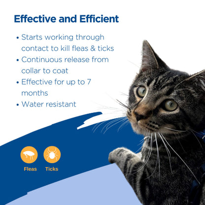 Zodiac Breakaway Flea & Tick Collar for Cats