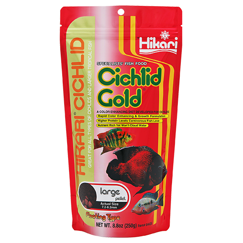 Hikari Cichlid Gold Large