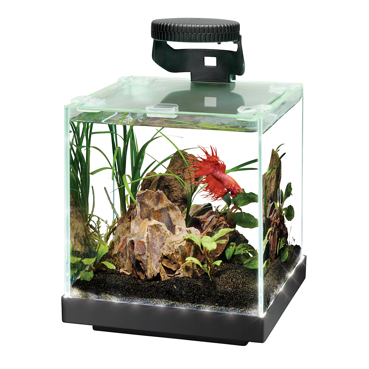 Aqueon Edgelit 1 Gallon Rimless Cube