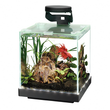 Load image into Gallery viewer, Aqueon Edgelit 1 Gallon Rimless Cube

