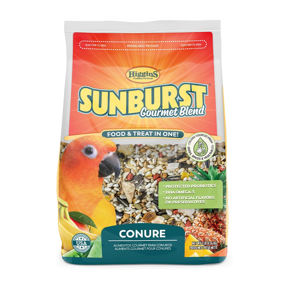 Higgins Sunburst Gourmet Blend Conure