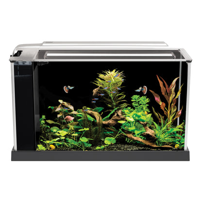 Fluval Spec 5 Gallon Kit