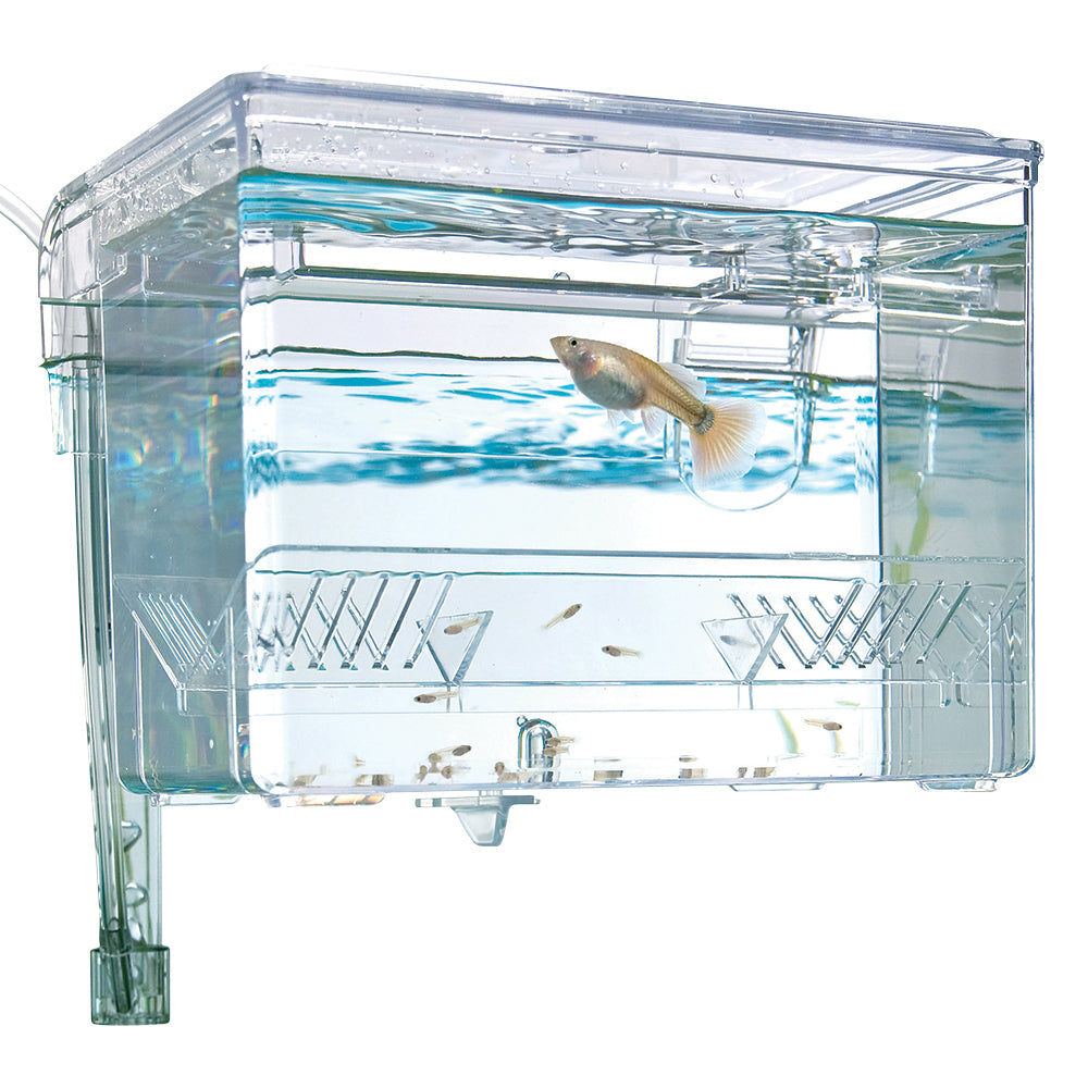 Fluval Hang On Breeding Box