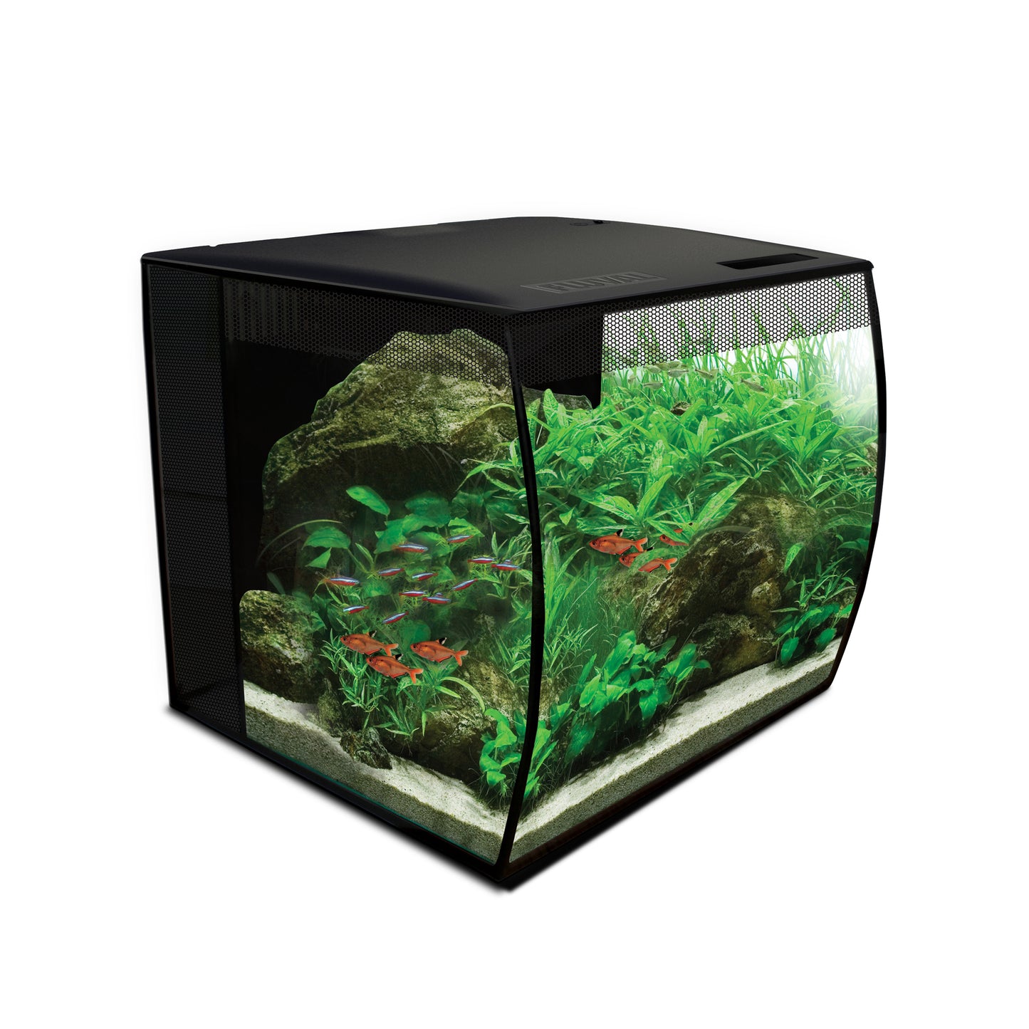 Fluval Flex 9 Gallon Kit