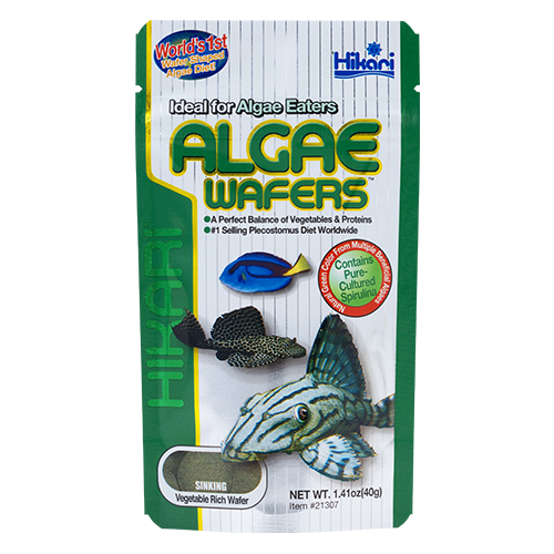 Hikari Algae Wafers