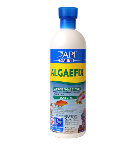 API Marine Algaefix Algae Control Solution, 16 oz