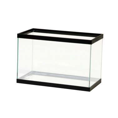 Aqueon 5 1/2 Gallon Glass Aquarium