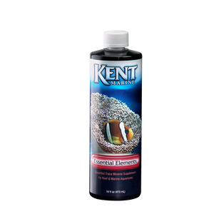 Kent Marine Essential Elements